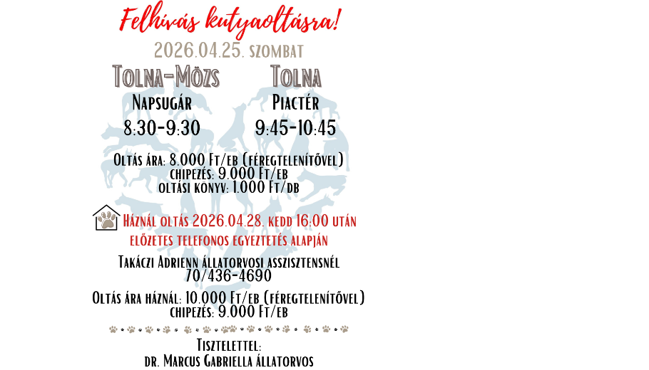 Felhívás kutyaoltásra